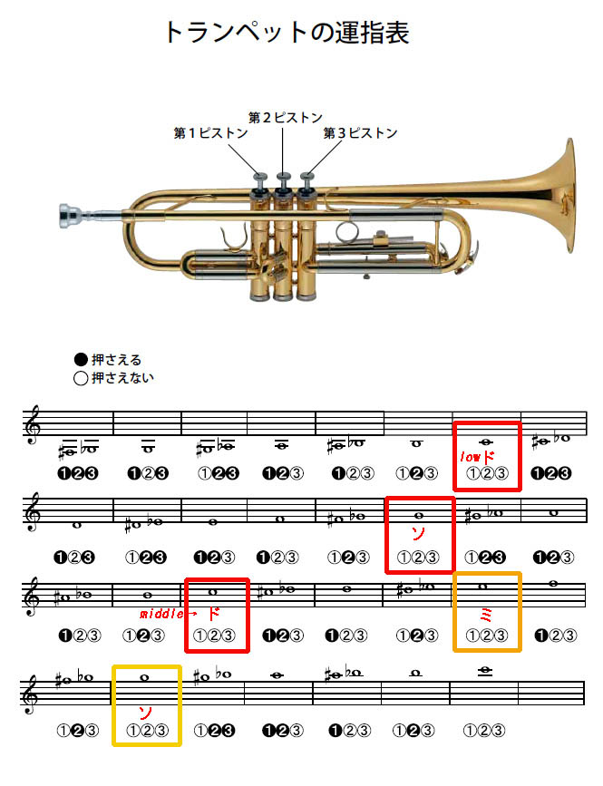 平成29丁酉 17 年 9月の記録 新しい日付けの順 平成29年 9月30日 土 予報ほどの放射冷却は無かったが それでも今日も一日素晴らしい秋空が広がった 最低気温 11 8 04 51 最高気温 24 3 14 28 ボンにフィラリア予防薬をやった